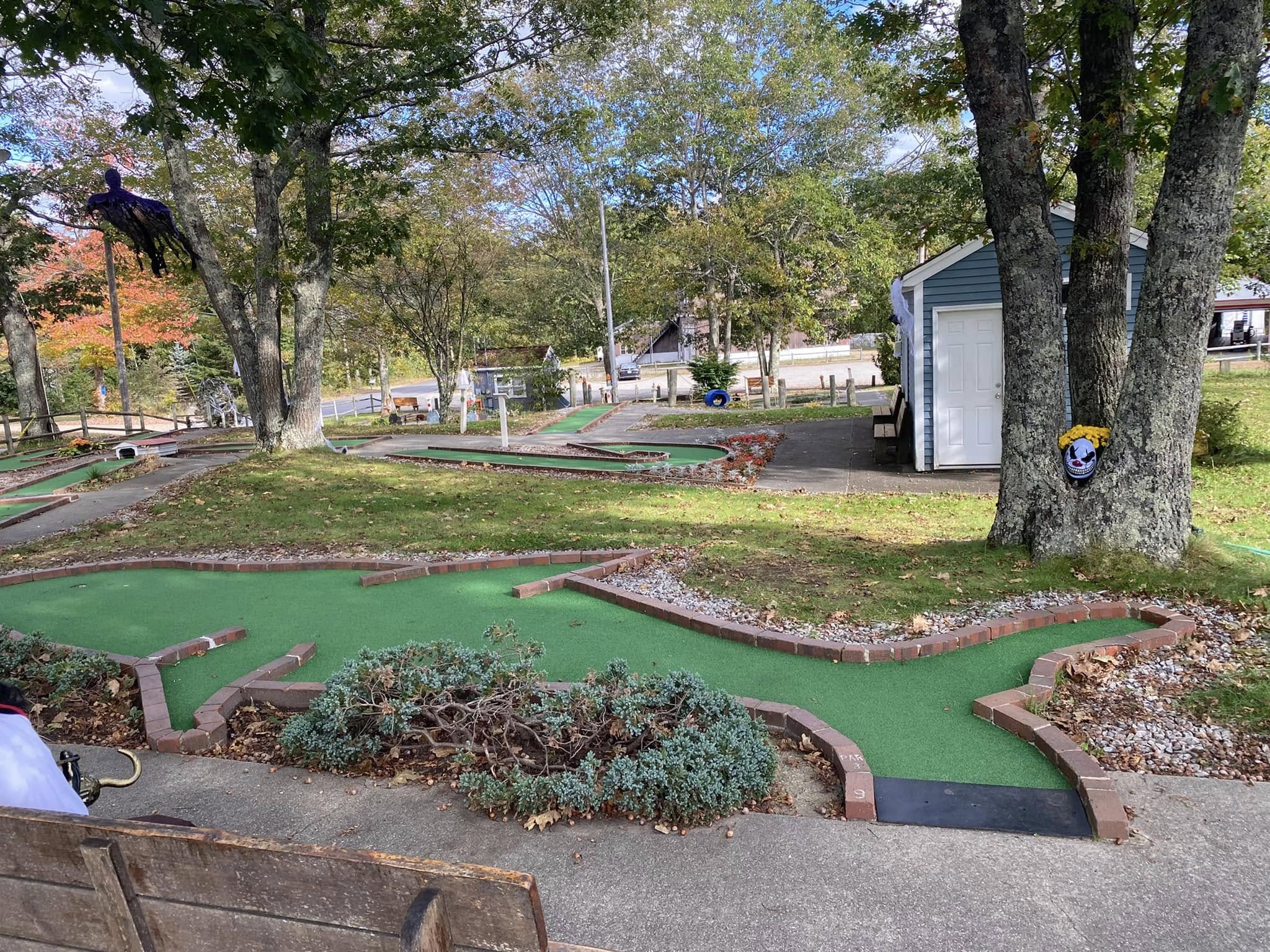 The dolphin hole at Dolphin Mini Golf